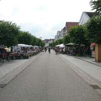DSC 0142