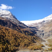 DSC 0175