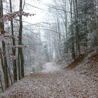 P1000397