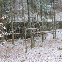 P1000399