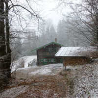 P1000408