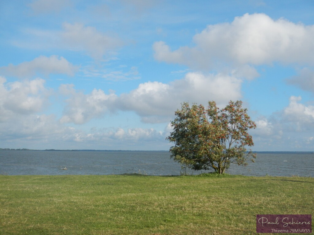 DSCN0050.JPG