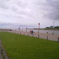 26052010478