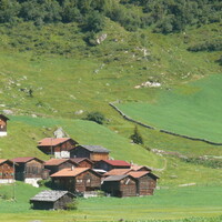 P1000946