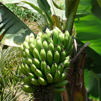 p1000553