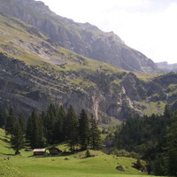 IMGP0058