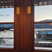 20250107 081456 (277 visits) 20250107 081456