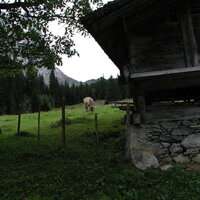 P9080005