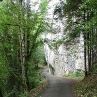 P9090006