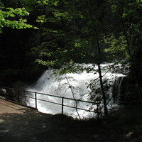 P9090009