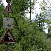 P9090008