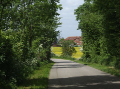 Schleswig - Juni 2006